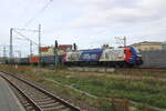 Frank Thomas von Frank Thomas 4054 Bilder